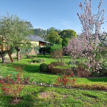 Villa Tini Radebeul Exteriör bild