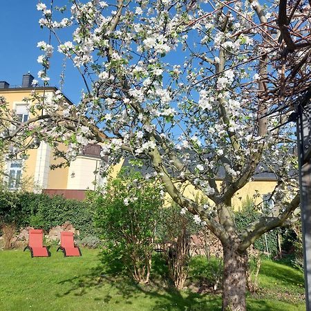 Villa Tini Radebeul Exteriör bild