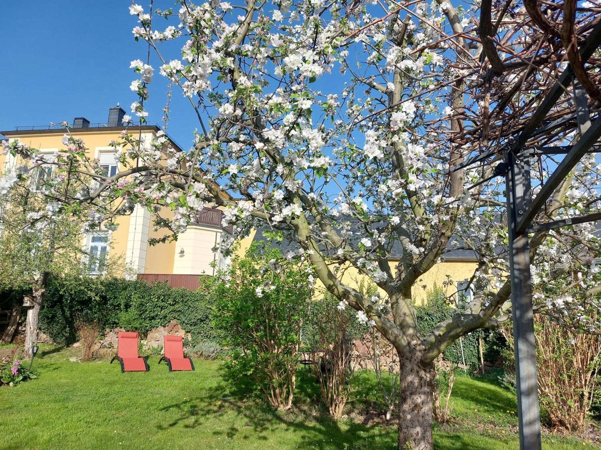 Villa Tini Radebeul Exteriör bild